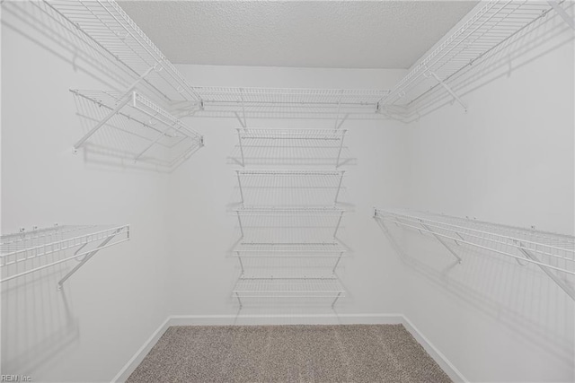 walk in closet featuring carpet floors