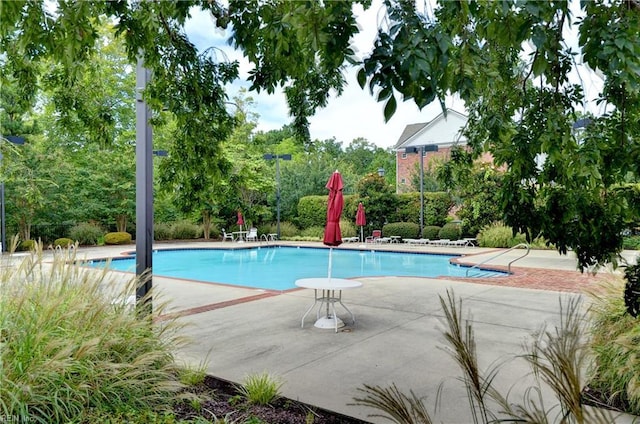 pool featuring a patio area