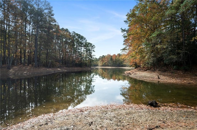 water view featuring a view of trees