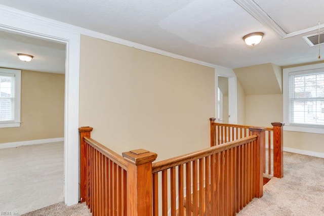 507 Bellwood Rd, Newport News, VA 23601 - hall featuring visible vents, carpet floors, baseboards, attic access, and an upstairs landing