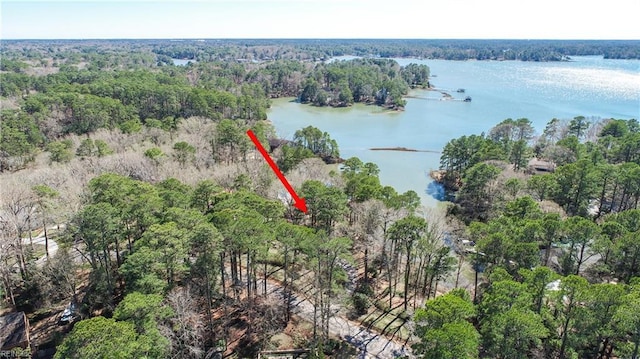 bird's eye view featuring a view of trees and a water view