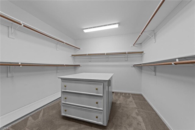 4825 Berrywood Rd, Virginia Beach, VA 23464 - walk in closet featuring dark colored carpet