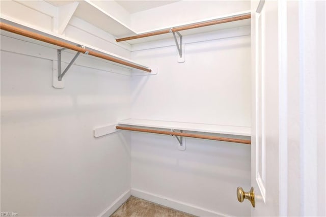 296 Walt Whitman Ave, Newport News, VA 23606 - spacious closet featuring light colored carpet