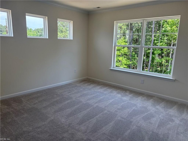 2014 Stanford Ln, Newport News, VA 23608 - spare room with baseboards, carpet, and crown molding