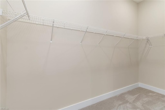 spacious closet with carpet