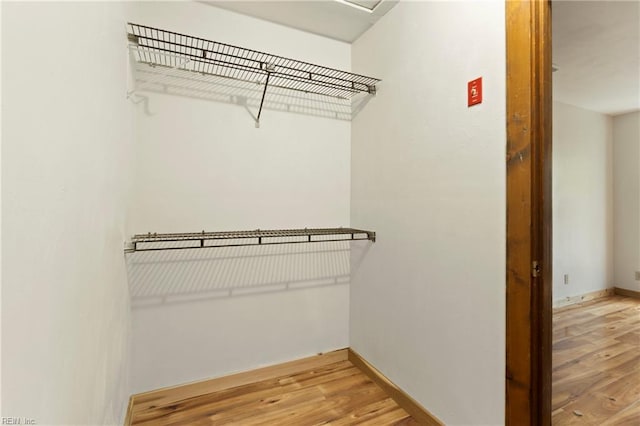 spacious closet featuring light wood-type flooring