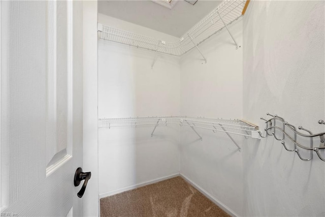 spacious closet with carpet flooring