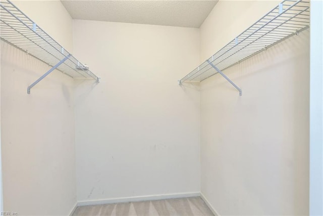 walk in closet with light carpet