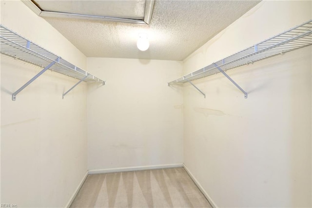 spacious closet with light carpet