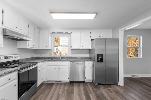 kitchen featuring a healthy amount of sunlight, a sink, stainless steel appliances, and under cabinet range hood