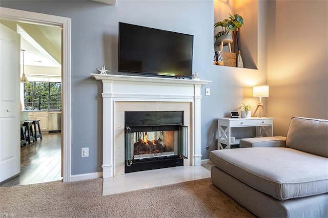 living area with baseboards, a multi sided fireplace, and carpet