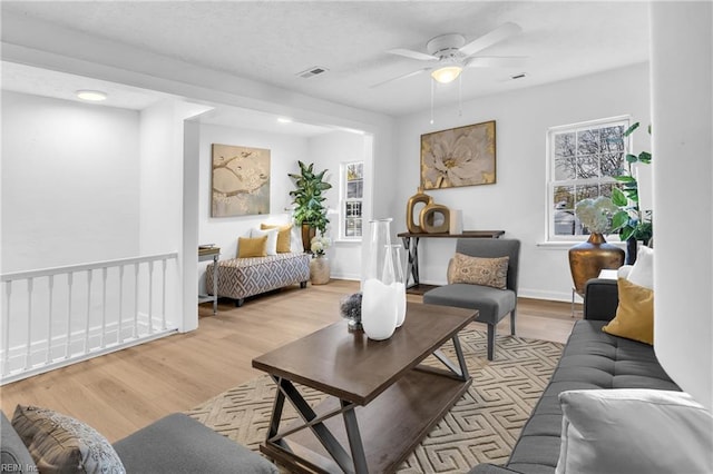 1438 Lasalle Ave, Portsmouth, VA 23704 - living area with a wealth of natural light, visible vents, light wood-style flooring, and ceiling fan