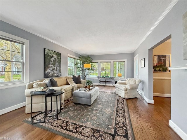 living area featuring baseboards, a healthy amount of sunlight, and wood finished floors