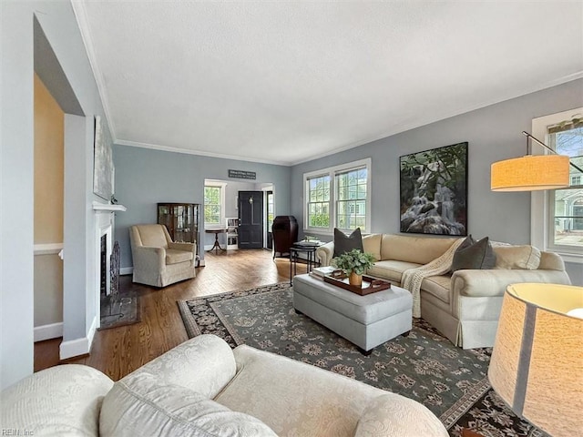 living area featuring ornamental molding, baseboards, a fireplace, and wood finished floors