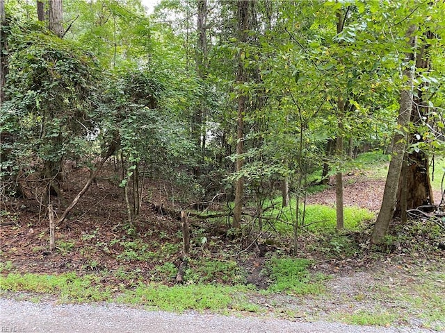 52AC Longwood Dr, Smithfield, VA 23430