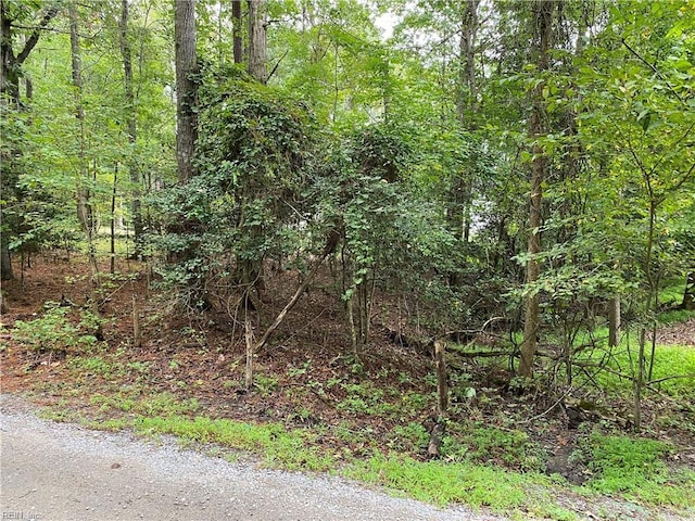 52AC Longwood Dr, Smithfield, VA 23430