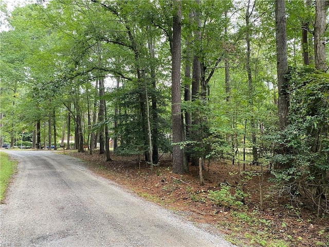 52AC Longwood Dr, Smithfield, VA 23430