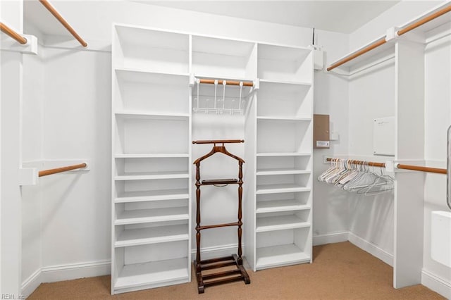 spacious closet with carpet flooring