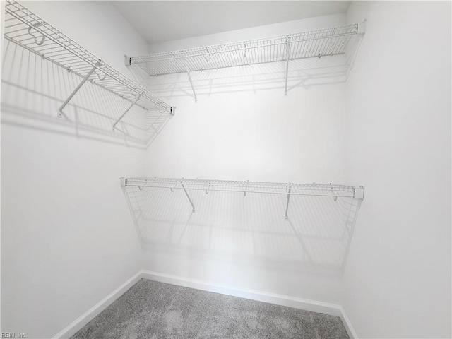 1396 Independence Blvd, Newport News, VA 23608 - spacious closet with carpet