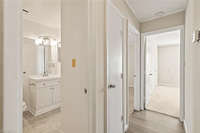 3955 Palomino Dr Unit 201, Newport News, VA 23602 - hall with baseboards, ornamental molding, and a sink