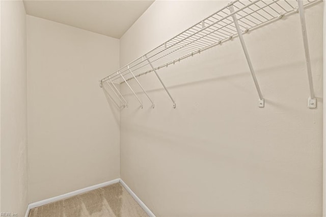3955 Palomino Dr Unit 201, Newport News, VA 23602 - walk in closet with light colored carpet