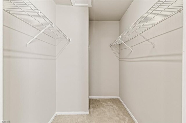 3955 Palomino Dr Unit 201, Newport News, VA 23602 - walk in closet featuring light colored carpet