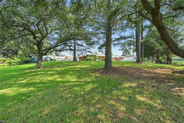 8084 Lynnbrook Dr, Norfolk, VA 23518 - view of green lawn