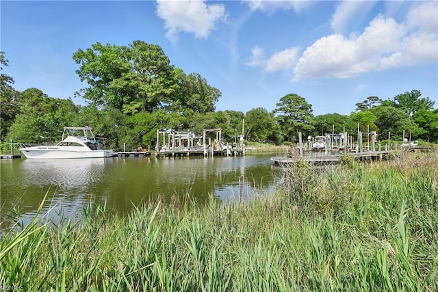 8084 Lynnbrook Dr, Norfolk, VA 23518 - water view with a boat dock