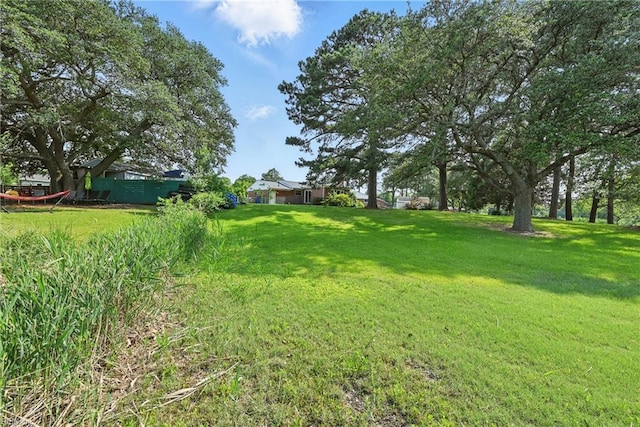 8084 Lynnbrook Dr, Norfolk, VA 23518 - view of grassy yard