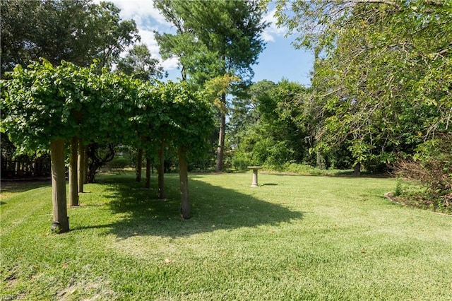 view of yard