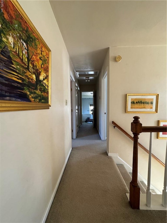corridor with baseboards and carpet floors