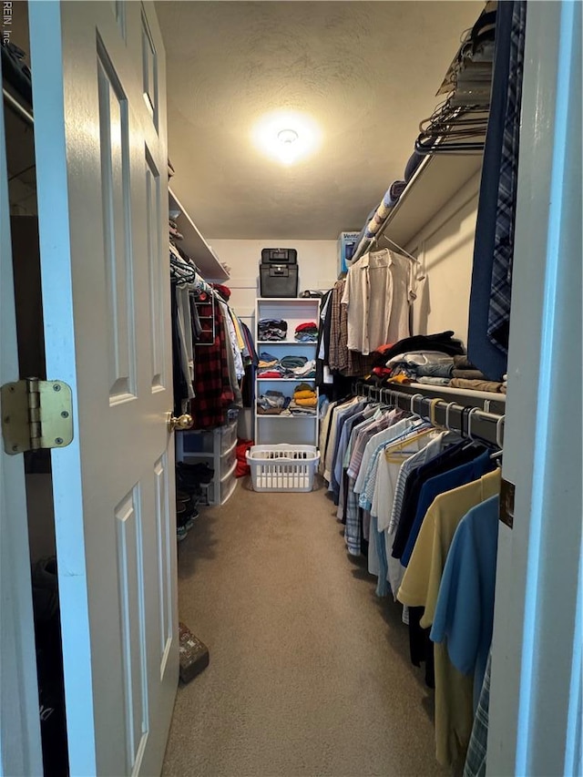 walk in closet with carpet flooring