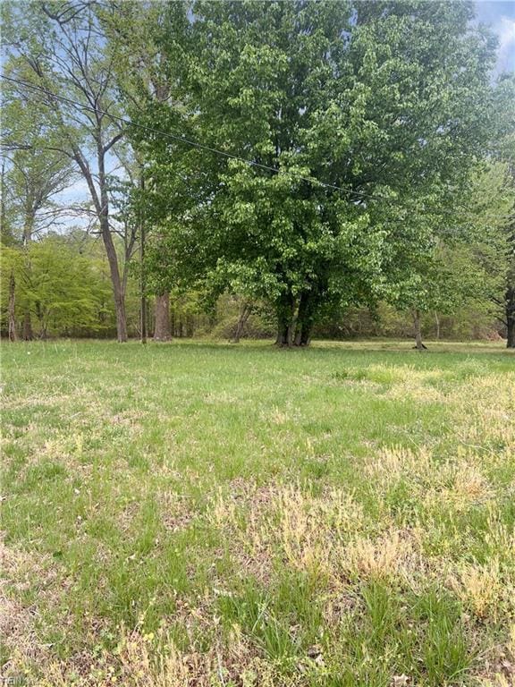 3201 Jean Ct, Chesapeake, VA 23323 - view of yard