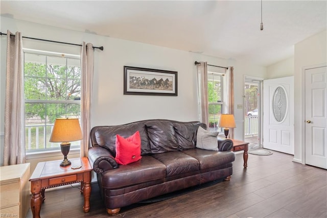 living room featuring wood finished floors