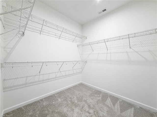 1541 Waltham Ln, Newport News, VA 23608 - walk in closet featuring carpet flooring