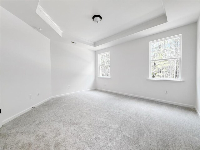 1541 Waltham Ln, Newport News, VA 23608 - carpeted empty room featuring a raised ceiling and ornamental molding