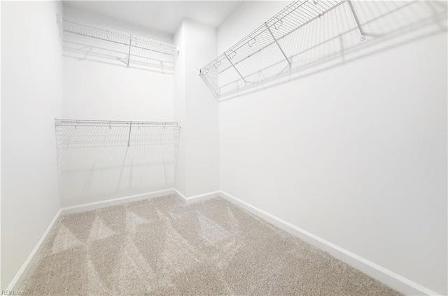 1539 Waltham Ln, Newport News, VA 23608 - spacious closet with carpet floors