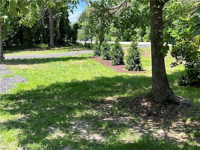 view of green lawn