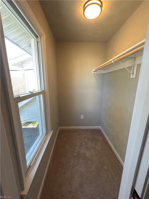 spacious closet featuring carpet floors
