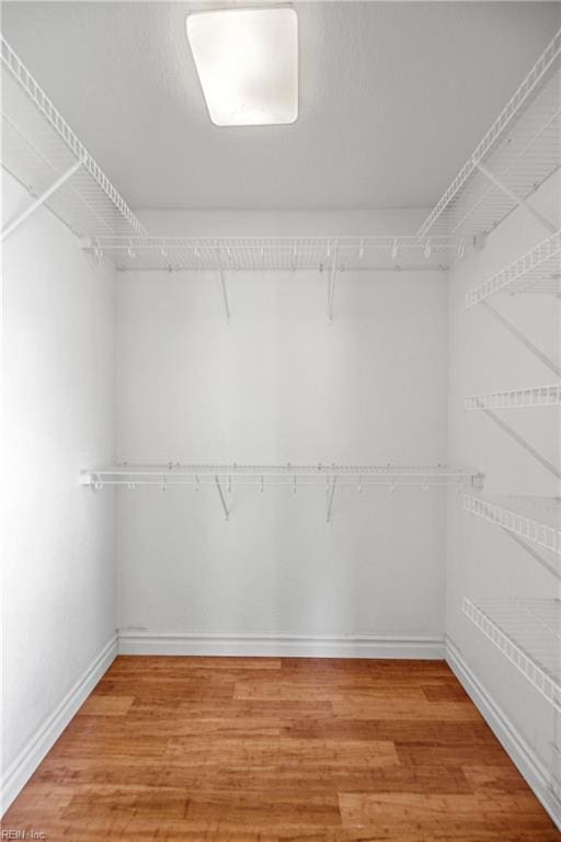 spacious closet featuring light wood-style flooring