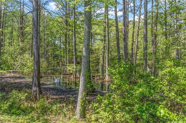 view of nature with a forest view