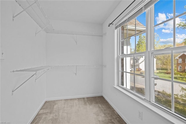 spacious closet with light colored carpet