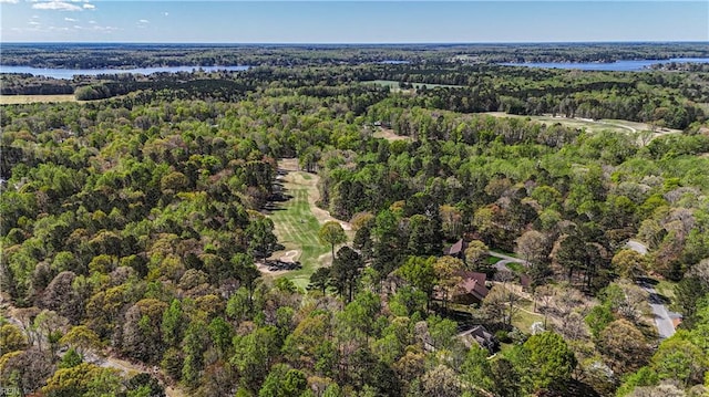 aerial view with a water view and a view of trees