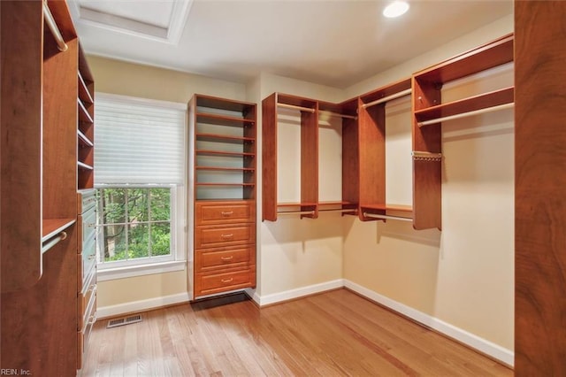spacious closet featuring wood finished floors, attic access, and visible vents