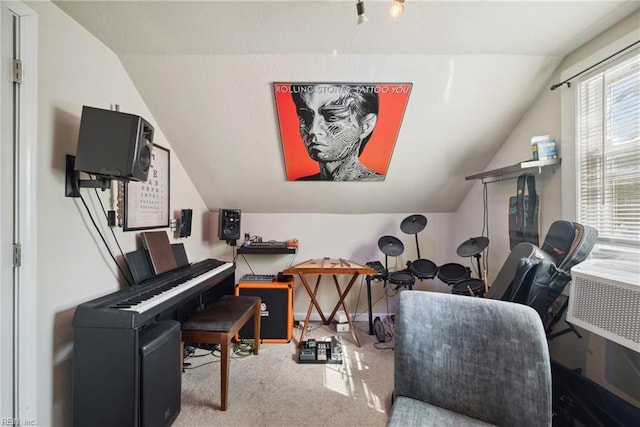 interior space featuring carpet and vaulted ceiling