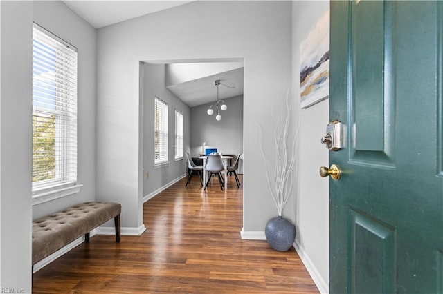 entryway featuring wood finished floors, baseboards, and a wealth of natural light