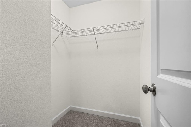 spacious closet featuring carpet