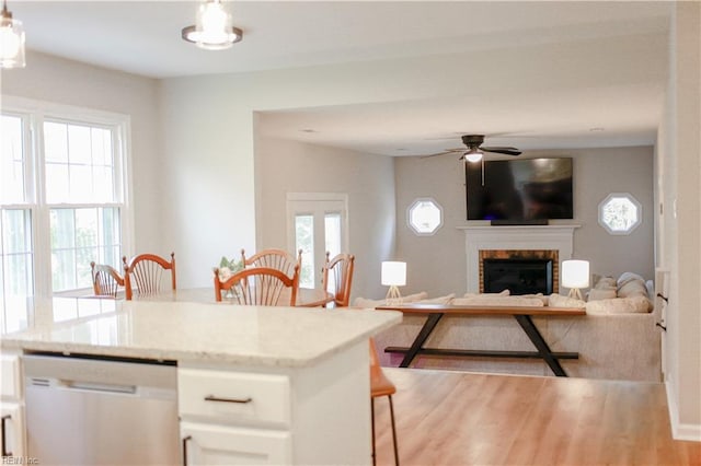 kitchen with dishwasher, a ceiling fan, and a wealth of natural light