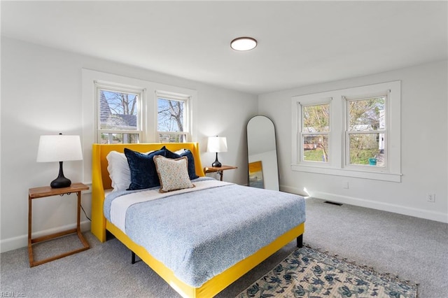 139 Ash Ave, Newport News, VA 23607 - carpeted bedroom featuring visible vents, baseboards, and multiple windows