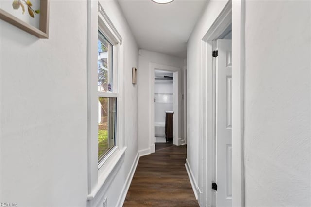 139 Ash Ave, Newport News, VA 23607 - hall with plenty of natural light, dark wood-style floors, and baseboards
